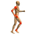 High resolution conceptual 3D human for anatomy High resolution conceptual 3D human for anatomy