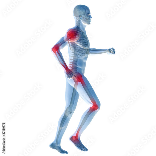 Illustration: High resolution conceptual 3D human for anatomy High resolution conceptual 3D human for anatomy