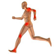 High resolution conceptual 3D human for anatomy High resolution conceptual 3D human for anatomy