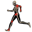High resolution conceptual 3D human for anatomy High resolution conceptual 3D human for anatomy