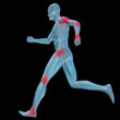 High resolution conceptual 3D human for anatomy High resolution conceptual 3D human for anatomy