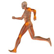 High resolution conceptual 3D human for anatomy High resolution conceptual 3D human for anatomy