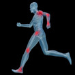 High resolution conceptual 3D human for anatomy High resolution conceptual 3D human for anatomy