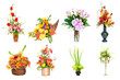 Collection of various colorful flower arrangements Collection of various colorful flower arrangements