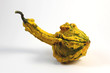 Zucca ornamentale Zucca ornamentale