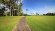 Walk path through beautiful tropical meadow.