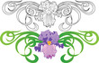 iris flower vignette tattoo iris flower vignette tattoo