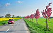 Car on road