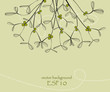 Background with mistletoe, vector illustration