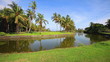 Beautiful tropical landscape with palmtrees and pond.