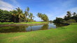 Beautiful tropical landscape with palmtrees and pond.
