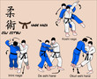 Jiu Jitsu Nage Waza 5 Color