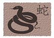 zodiac snake , for chinese