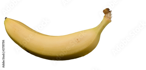 Photo: banana banana