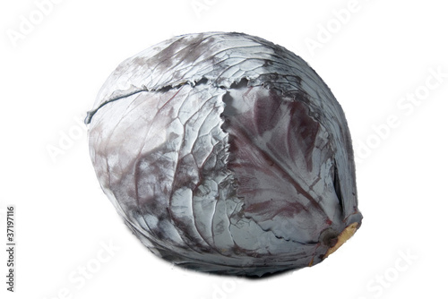 Photo: red cabbage red cabbage