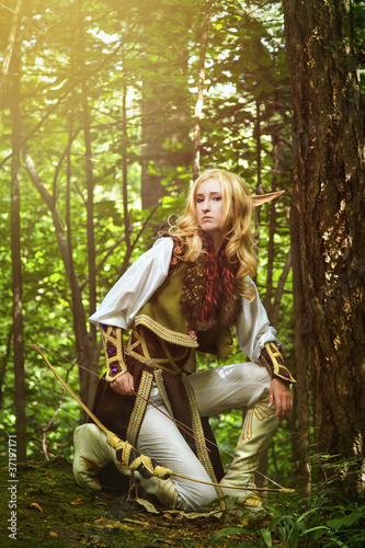 Photo: Elf From The Woods Elf From The Woods