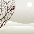 Tree and bullfinch. Vector illustration.