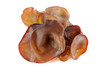 Chinese herb : Black Fungus, Jew's Ear Mushroom, Jelly Ear Chinese herb : Black Fungus, Jew's Ear Mushroom, Jelly Ear