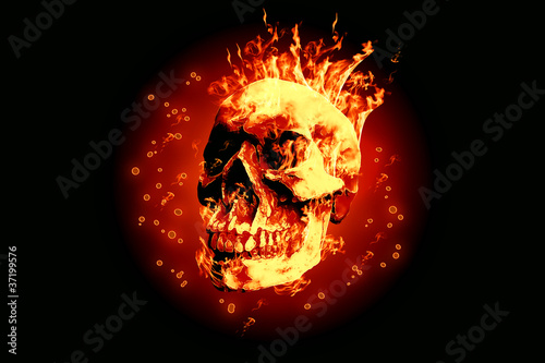 Illustration: Tete de Mort Tete de Mort