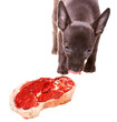 Photo: Great appetite Great appetite