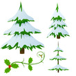 Set of snow covered fir christmas trees
