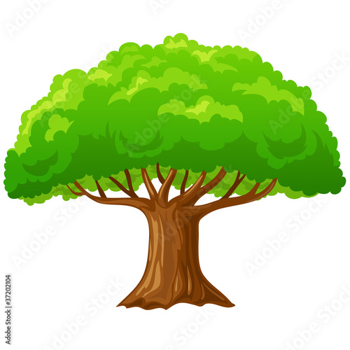 Vector: Cartoon big green tree isolated on white. Cartoon big green tree isolated on white.