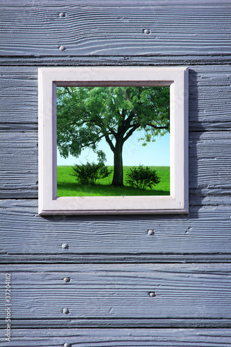 Photo: Wood frame Wood frame