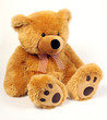 Oso de peluche