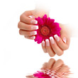 Photo en ligne au meilleur prix Nailart French Pink Weiss