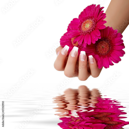 Foto: Hand mit einer Gerbera Hand mit einer Gerbera