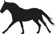 horse