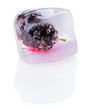 One black mulberry fruit inside of melting ice cube, isolated on One black mulberry fruit inside of melting ice cube, isolated on