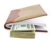 dollars and notebook