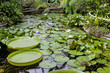 Botanical Garden Na Slupi, Prague, Czech Republic