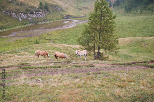 photo par ferrerivideo