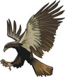 Vector: Falcon in attack Falcon in attack