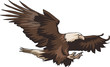 Vector: American Eagle American Eagle