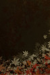 紅葉絵画風