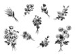 Set of black flower. Vector