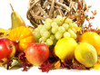 Herbstliche Früchte und Blätter
