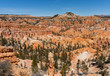 Unique Bryce Canyon