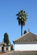 Edifici nell' Alcazar di Siviglia