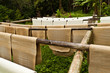 Milk of rubber in thaialnd
