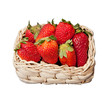 basket