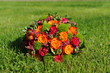 Bouquet dans l'herbe