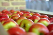 Foto: Pommes Pommes