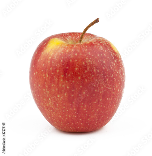 Foto: roter Apfel roter Apfel