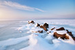 Winter landscape