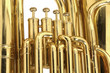 Photo: tuba tuba