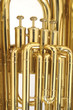 Photo: tuba tuba